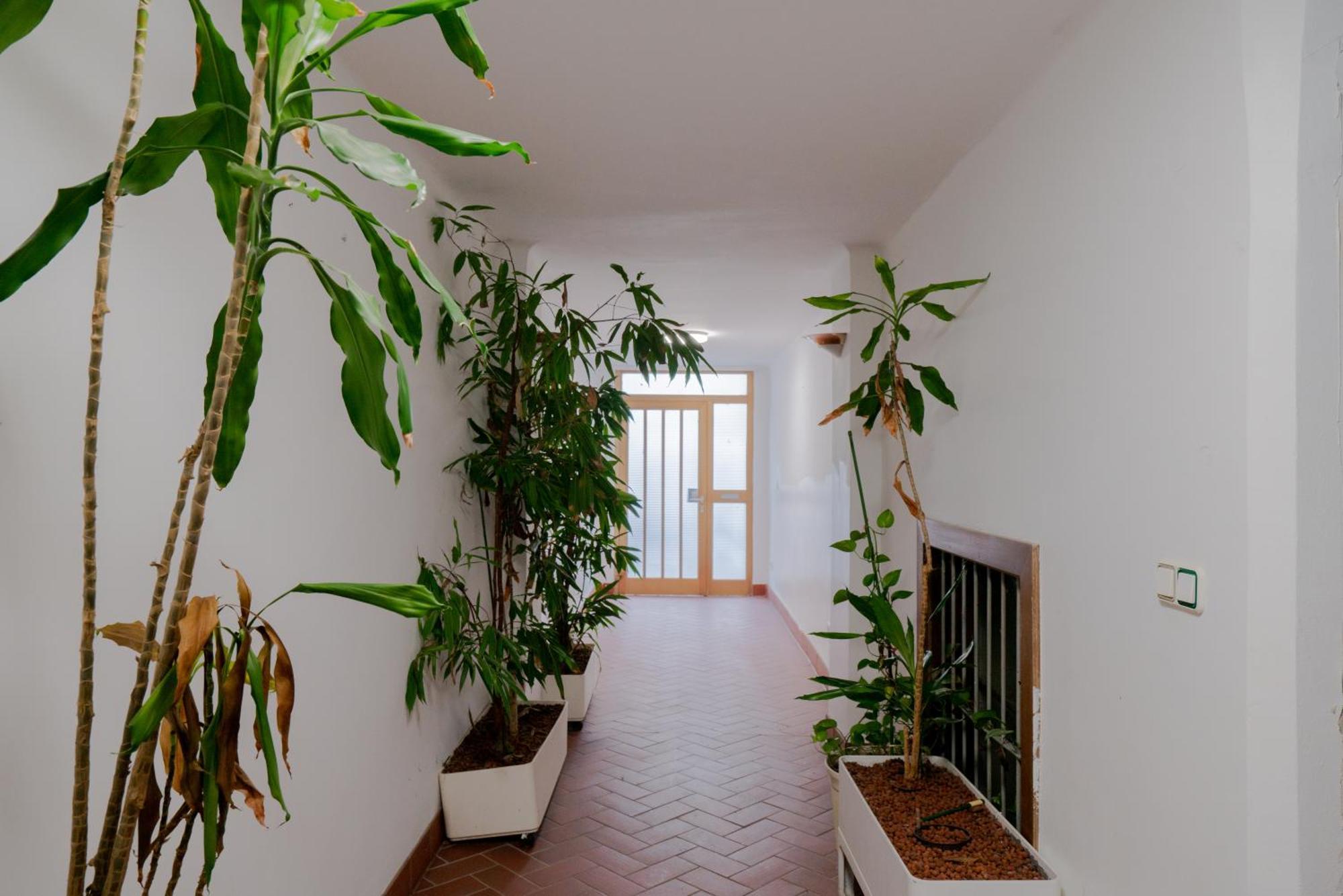 Bessemer - Charming Cottage With Garden Wien Ngoại thất bức ảnh